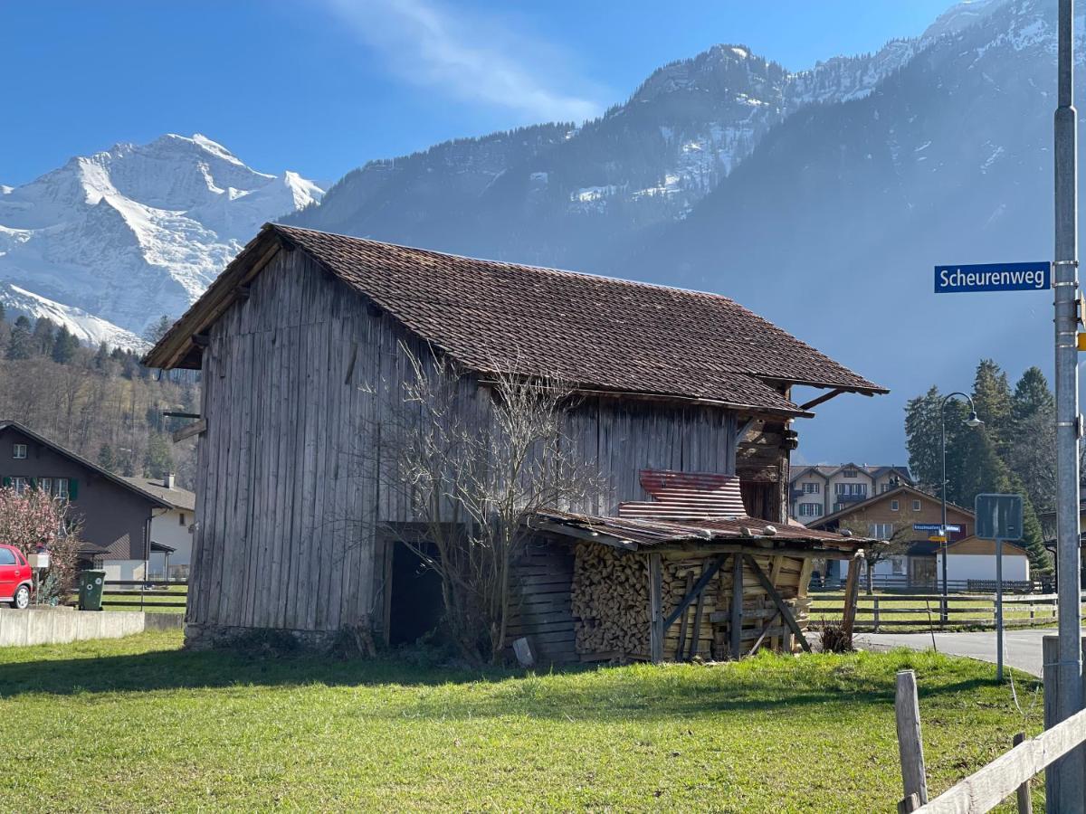 S&P Mountain View Apartment 1 Wilderswil Exteriör bild
